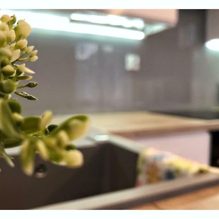Apartament przy Ratuszu Rzeszów Zewnętrze zdjęcie